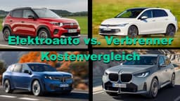 Collage: Zwei Elektroautos und zwei Verbrenner Collage: Zwei Elektroautos und zwei Verbrenner