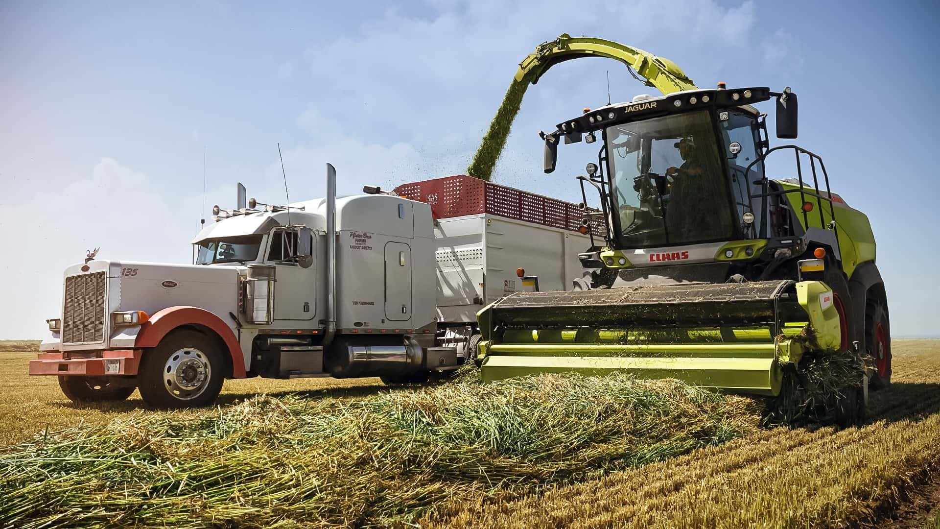 Jaguar 1200 Feldhäcksler von Claas erzielt neuen Weltrekord Jaguar 1200 Feldhäcksler von Claas erzielt neuen Weltrekord