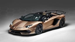 2019 Lamborghini Aventador SVJ Roadster 2019 Lamborghini Aventador SVJ Roadster