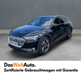 Audi_e-tron_50_quattro_230_kW_Business_Gebraucht