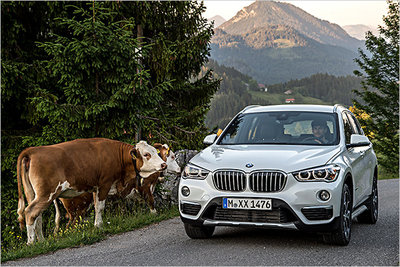 Bild: BMW X1  Gebrauchtwagen